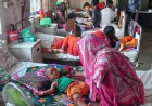 Measles outbreak hospitalizes 300 children in Khulna, two dead