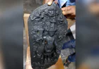 Vishnu Idol made of touchstone found in Dinajpur