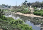 27 canals on verge of extinction amid encroachment, pollution in Tangail
