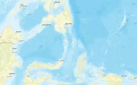 Magnitude 6.0 earthquake strikes off north Indonesia: USGS