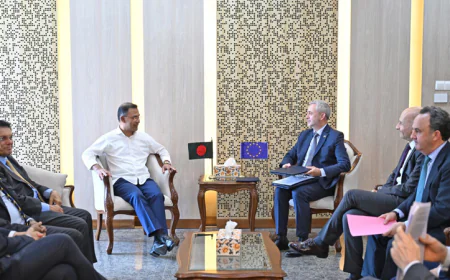 EU delegation calls on PM