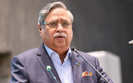 President calls for joint efforts to build universal integrated health protection system