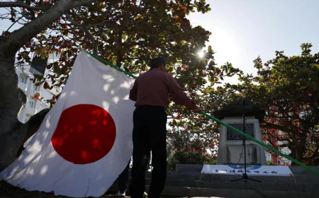 Japanese national held in Iran freed: report