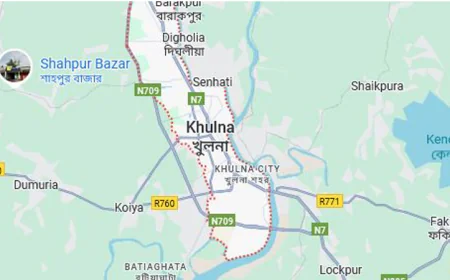 Two children die with measles-like symptoms in Khulna region