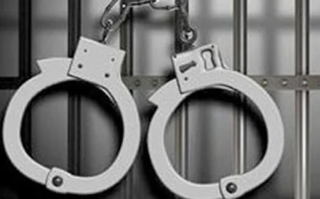 Two held with 17kg ganja on bus in Chattogram