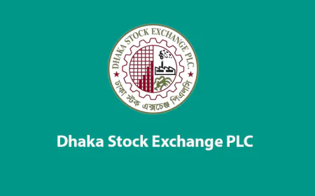 DSE offers personalized support to list Chinese firms on capital market