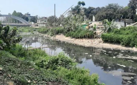 27 canals on verge of extinction amid encroachment, pollution in Tangail