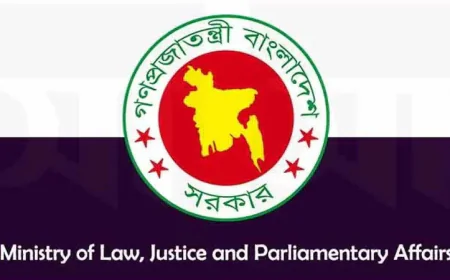 Digital judiciary gains momentum as govt pushes reforms to ease public sufferings