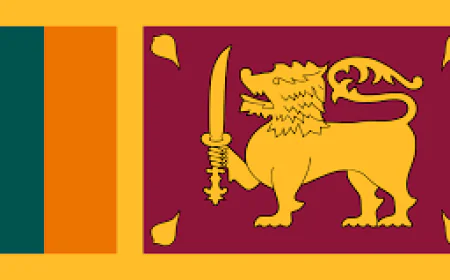 Sri Lanka cricket board quits at government's request: officials