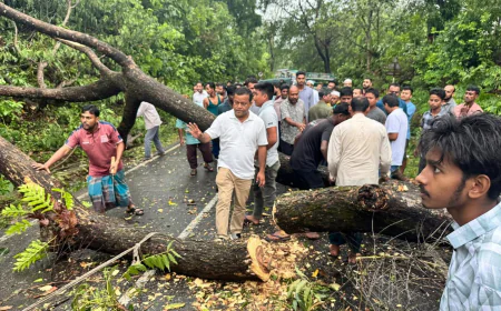 Nor'wester wreaks havoc in Khagrachari, thousands left without power