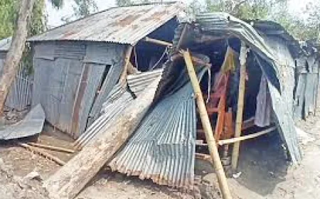 Five houses destroyed, over 50 damaged as Nor’wester lashes Patuakhali