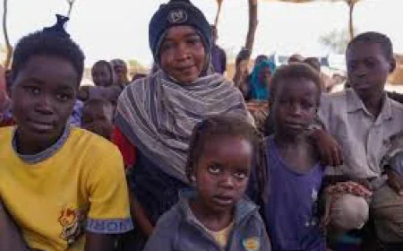 Children in Darfur reaching 'breaking point': UN