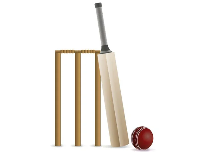 Japan to host T20 World Cup qualifiers at new Asian Games cricket venue