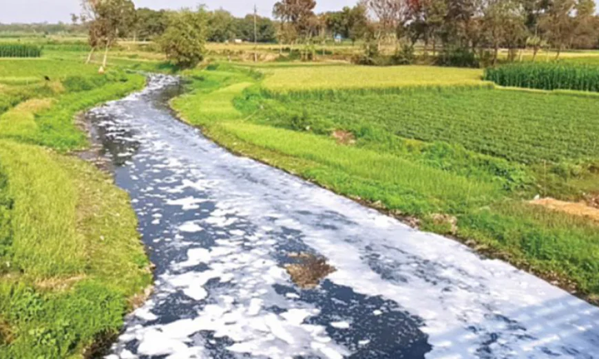 Pollution: five rivers in Rajshahi turned into waste-carrying canals