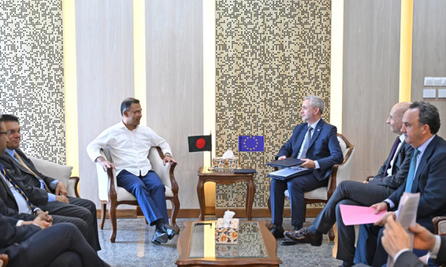 EU delegation calls on PM