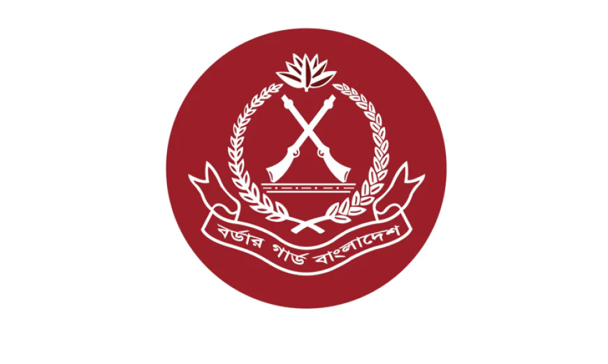 BGB recovers firearms, detains two including Rohingya youth in Bandarban