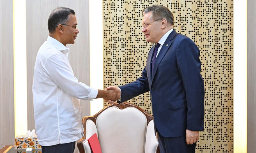 Rosatom director general calls on PM