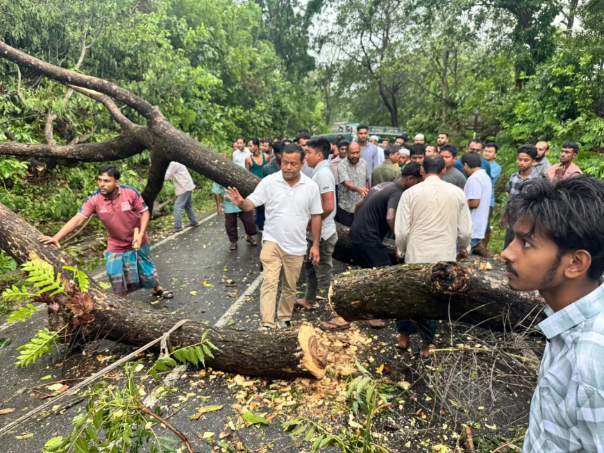 Nor'wester wreaks havoc in Khagrachari, thousands left without power