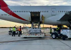 Brishti’s body sent home from US