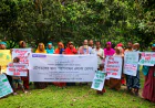 Rajshahi's Bilnepalpara declared a pollinator-friendly area for bees