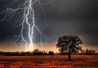 Farmer killed in Kishoreganj lightning strike