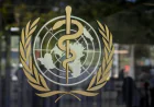 WHO members note Argentina's withdrawal letter