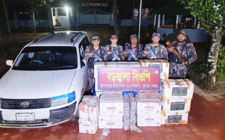 BGB seizes smuggled goods worth Tk 63.38 lakh in Cumilla