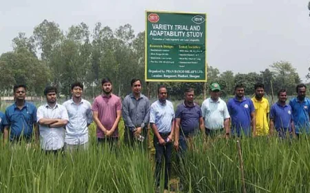 Experimental success in Basmati paddy cultivation in Dinajpur