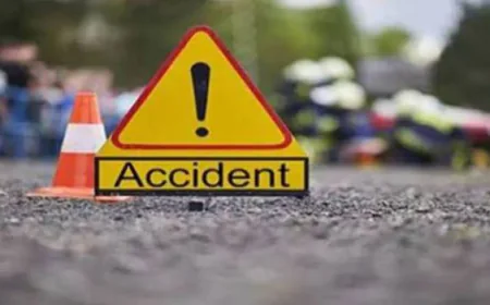 Driver killed as paddy-laden trolley overturns in Satkhira