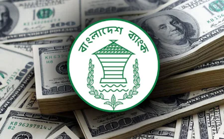 Remittance inflow grows 20.3pc in first six days of May