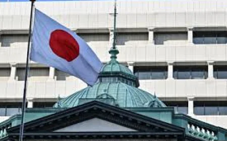 Japan spent $64 billion in yen interventions: reports