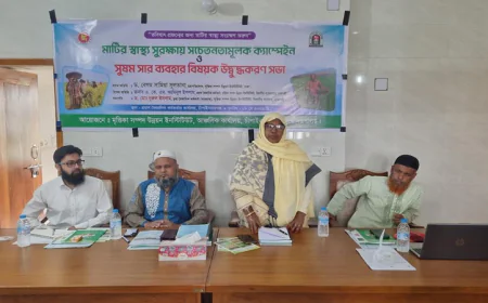 Balanced fertilization crucial to tackle fertilizer crisis: Experts