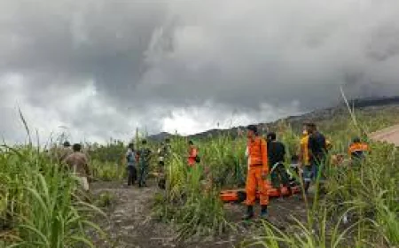 Indonesia rescuers find hikers' bodies after volcanic eruption