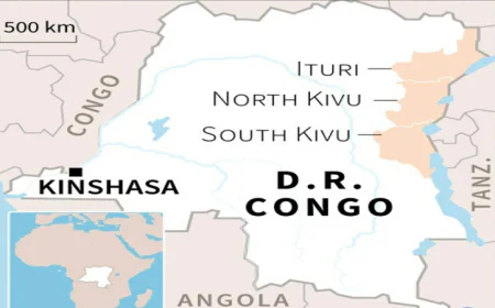Militia kill at least 69 in DR Congo: local, security sources