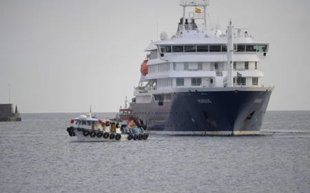Americans from virus-hit ship will not necessarily be quarantined: official