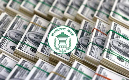 Remittance inflow grows 56.4pc in 1st 11 days of May