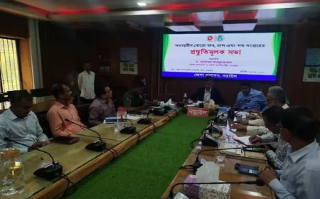 Meeting on boro paddy & rice procurement held in Narail