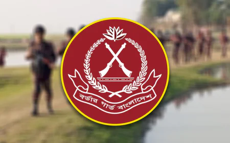 BGB seizes smuggled goods Worth Tk 48.83 lakh in Feni
