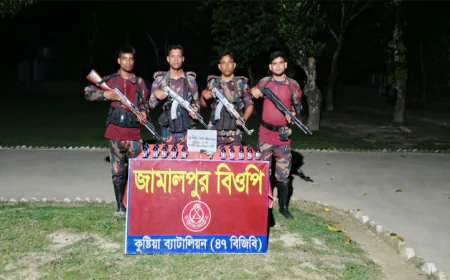 BGB seizes local firearm, ammunition, narcotics in Kushtia