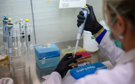 WHO confirms eight cases of Andes hantavirus in outbreak
