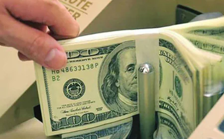Remittance inflow grows 37.5pc in 13 days of May