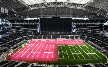 Pretty in pink: Dallas World Cup venue chasing perfect pitch
