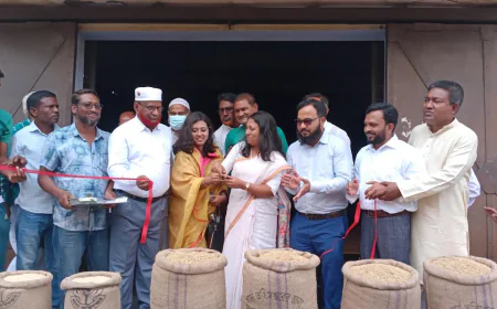 Boro paddy procurement drive begins in Sherpur