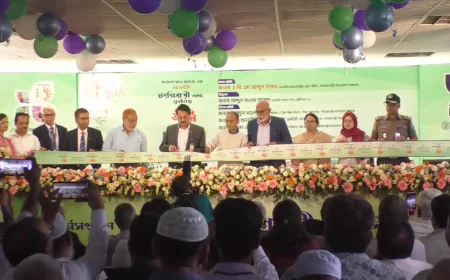 AL Govt. destroyed financial institutions: Abdus Sattar