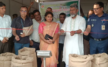 Govt launches paddy-rice procurement drive in Naogaon