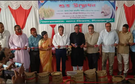 No irregularities will be tolerated in boro procurement drive: Jahangir Alam