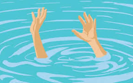 Two brothers drown in Tangail pond