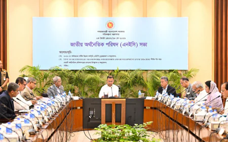 PM chairs NEC meeting