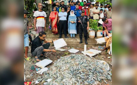 Mobile court fines fish trader for injecting jelly into shrimp in Narsingdi