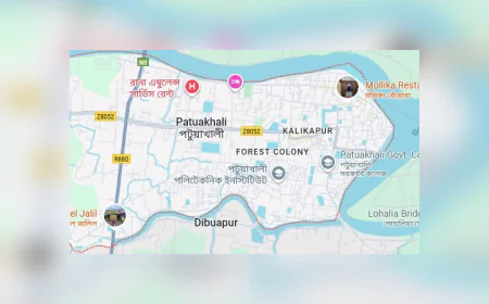 Shrimp fries worth Tk 2 cr seized in Patuakhali